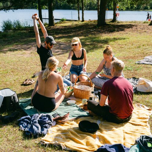 A group of volunteers participating in a Swedish nature program, enjoying the scenic landscape