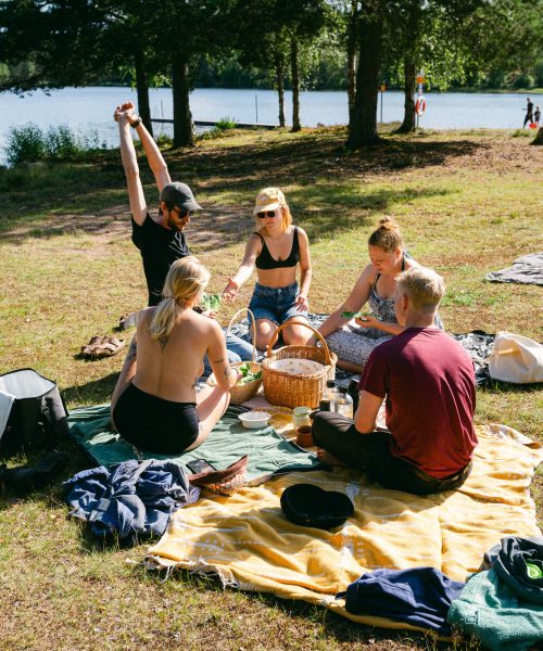 A group of volunteers participating in a Swedish nature program, enjoying the scenic landscape