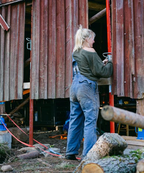 Travelers engaging in volunteer jobs in Sweden, gaining unique cultural experiences